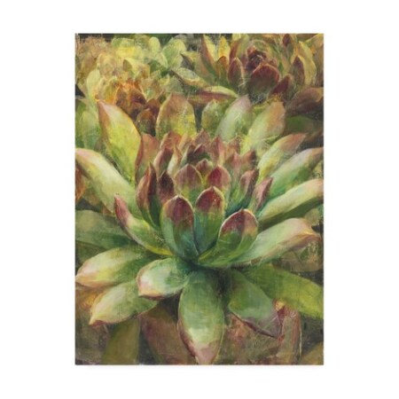 Trademark Fine Art Danhui Nai 'Nature Delight Iii' Canvas Art, 14x19 WAP10868-C1419GG